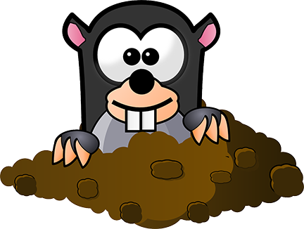 a mole